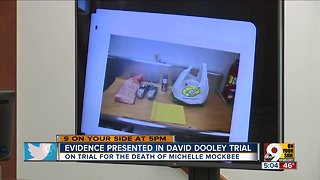 Evidence presented in David Dooley trial