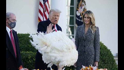 Axios Tries to Cancel Thanksgiving, and the Ratio Is Unbelievable