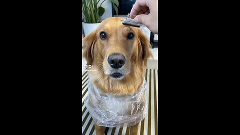 Sexy eye brows