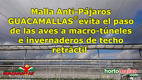 Malla Anti-Pájaros GUACAMALLAS® en macro-túneles e invernaderos de techo retráctil