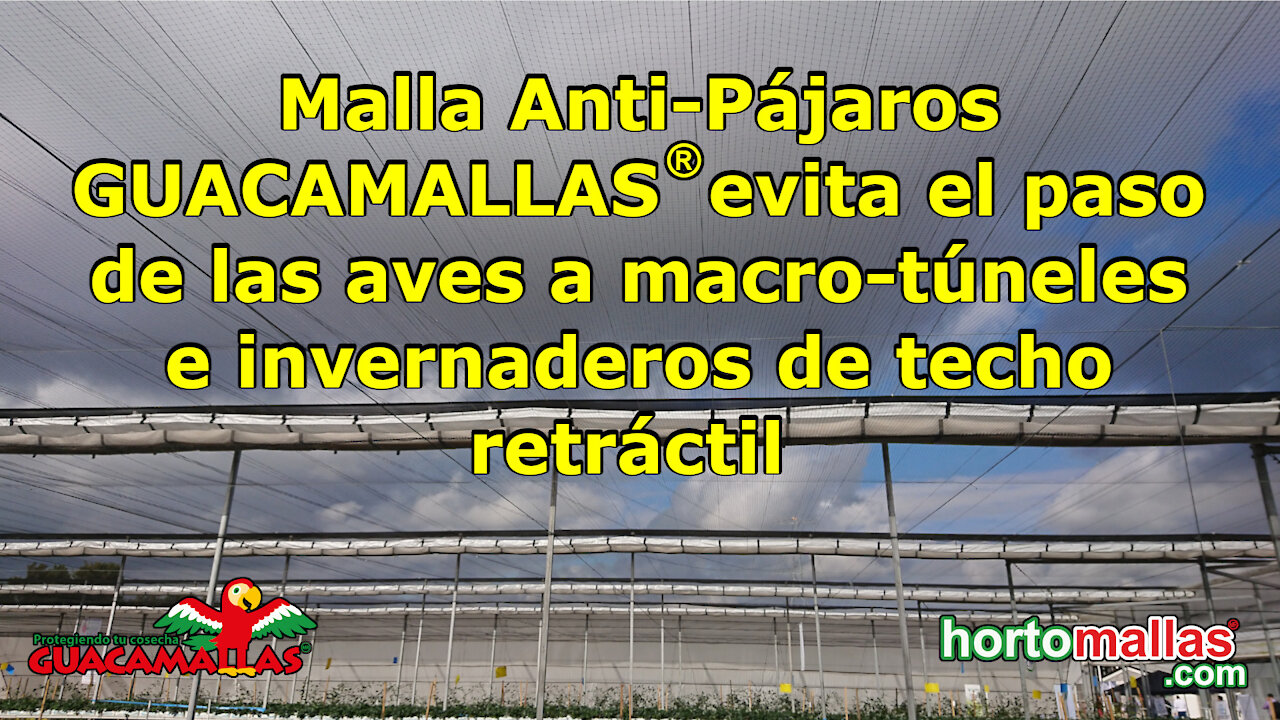 Malla Anti-Pájaros GUACAMALLAS® en macro-túneles e invernaderos de techo retráctil