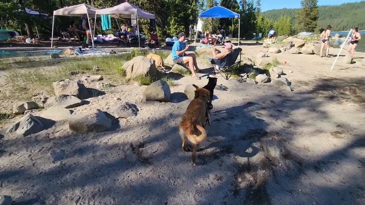 4th of July Party at Elk Lake with Kora & Sunshine