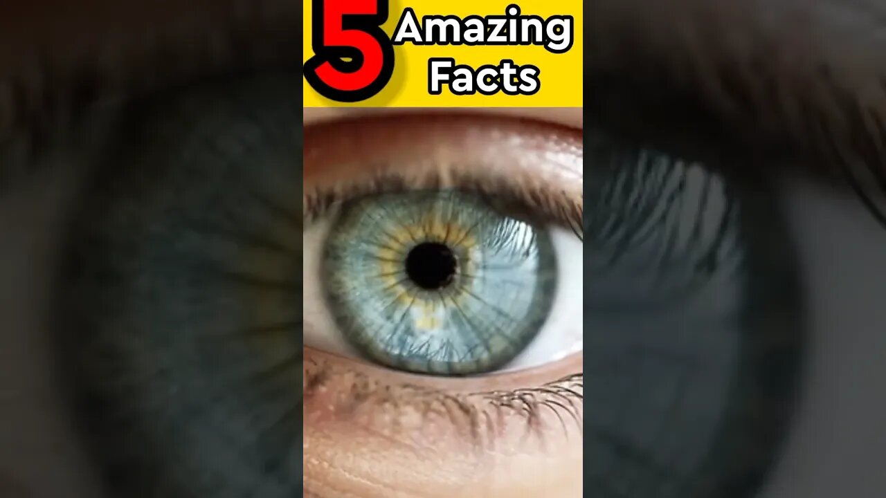 top five amazing facts #youtubeshorts