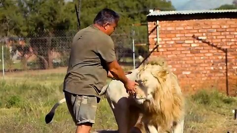 animal's reunited with owner's after years.