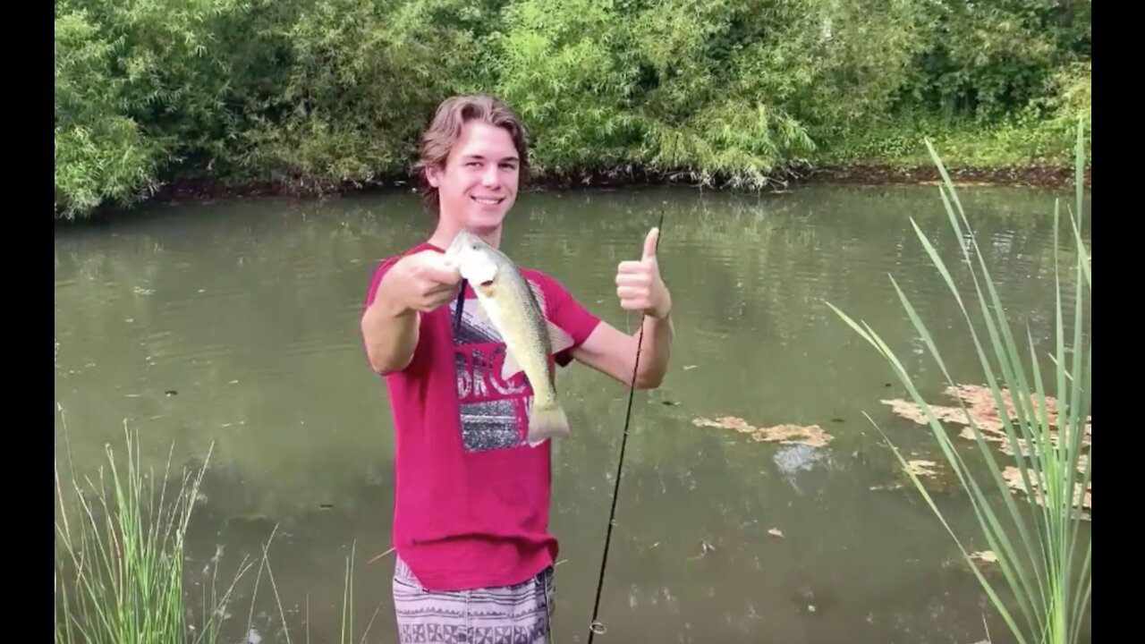 How to catch bass in ponds - fun bass fishing tips