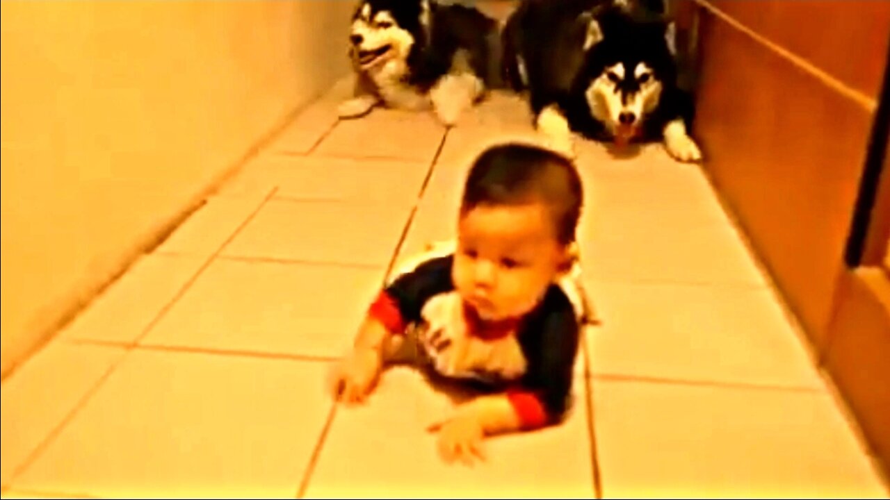 Baby playing with His pets