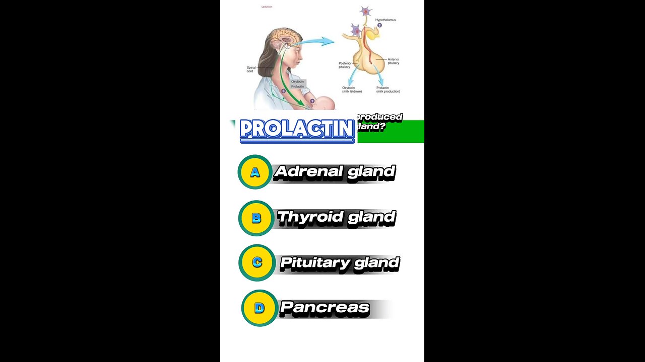 Prolactin hormone mcqs #breast #female #milk #nephrone 🏥💊🤷‍♀️👯‍♀️🤱