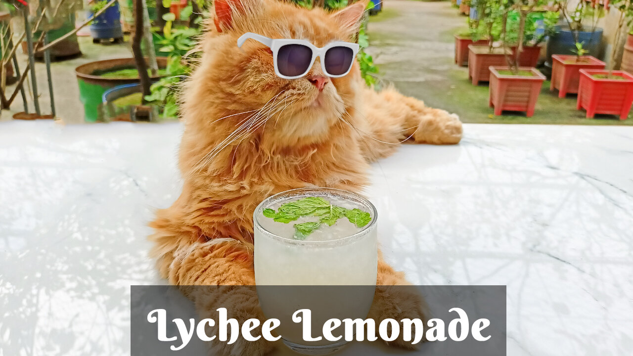 Lychee Lemonade | একদম দোকানের মতো লিচু লেমনেড | Refreshing Summer Drink