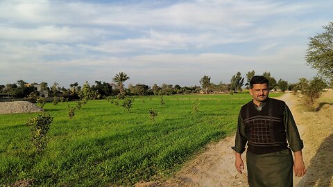 Village in Punjab Pakistan