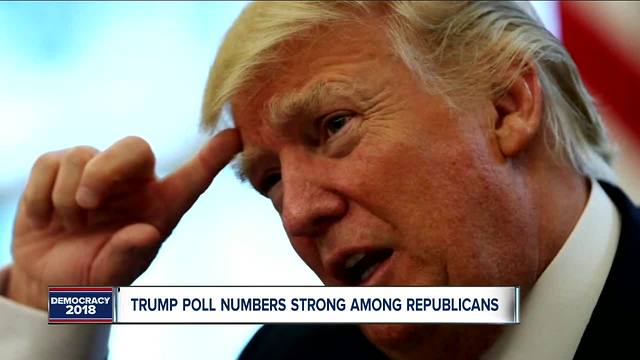 President Trump's strong support among his GOP base to loom large in November elections