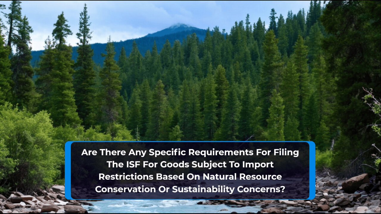 Mastering ISF Requirements: Filing for Goods with Import Restrictions