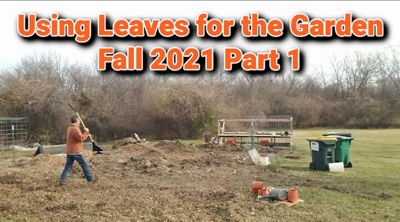 Using Leaves for the Garden Fall 2021 Part 1