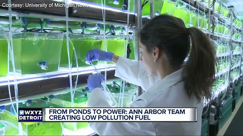 Ann Arbor team creating low pollution fuel