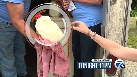 TUESDAY 11PM - RAW MILK