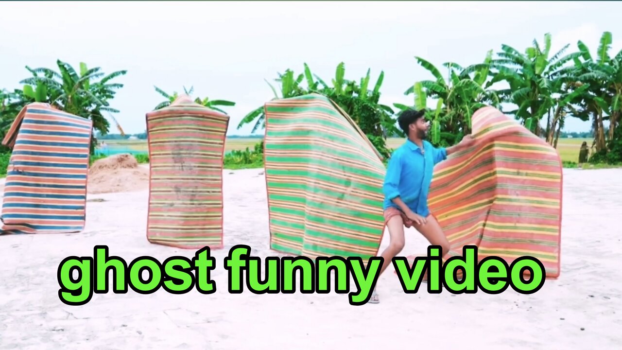 Funny videos