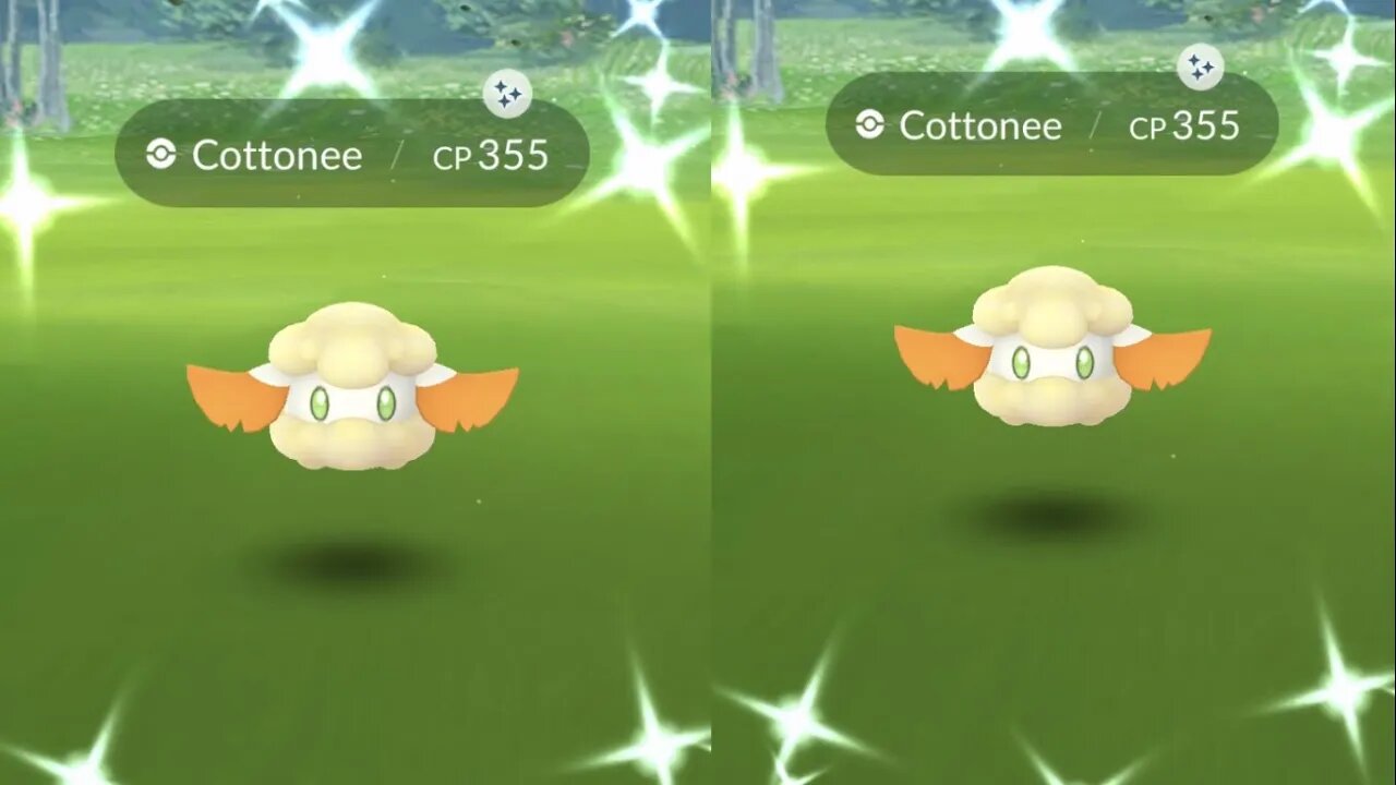 My Reaction to Shiny Cottonee