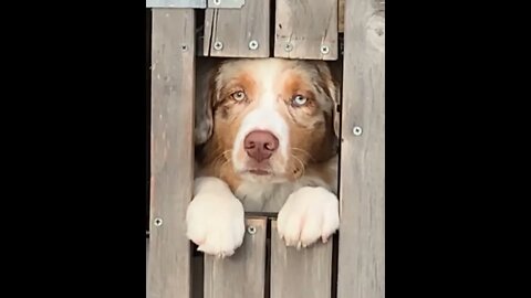 “Sure he’s cute, but can he do this”