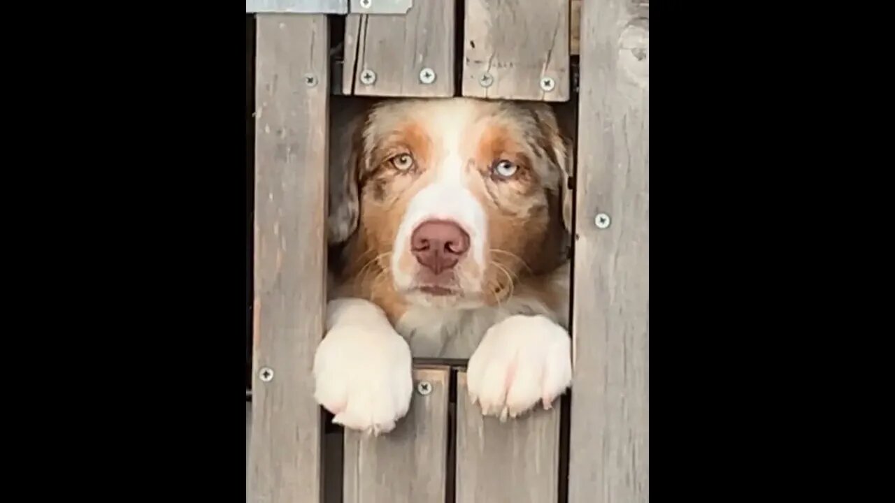“Sure he’s cute, but can he do this”