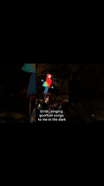 Walt Disney’s The Enchanted Tiki Room not quite as racist as you would think! #disney #shorts