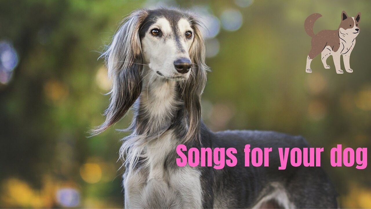 Relaxing songs for your dog and cat. Therapy for your pet. For stressed dog and cat