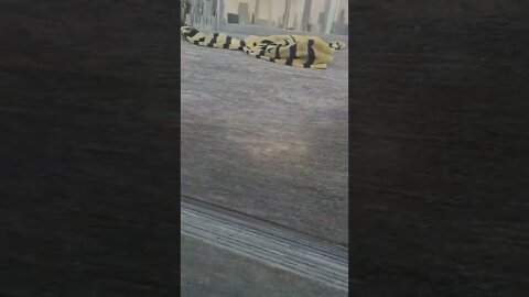 New sarhad greynt #shorts