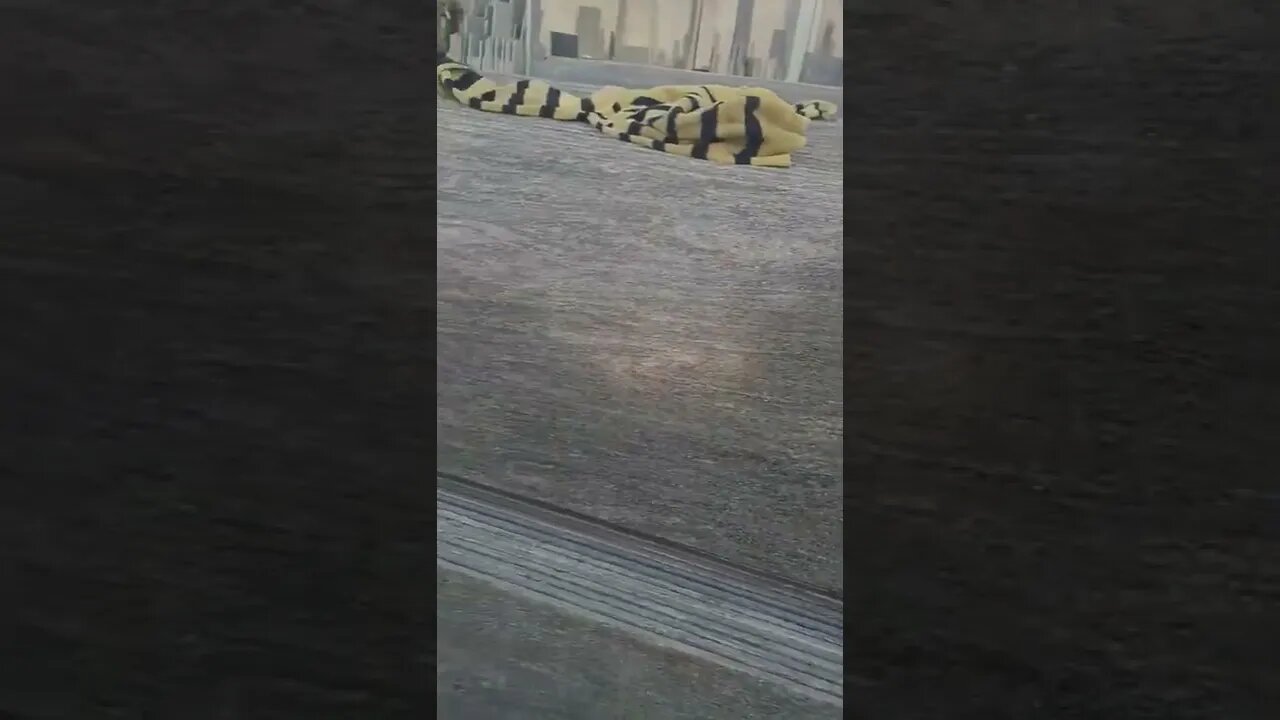 New sarhad greynt #shorts