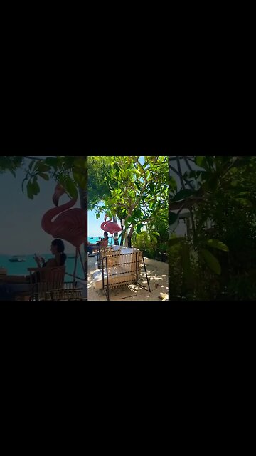 Is this the best secluded beach club in Phuket?! 👀😍🤓 List your fav beach clubs below!👇👇