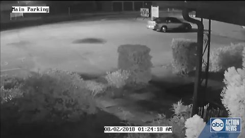 Polk hit and run surveillance