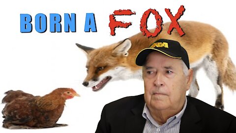 Born a Fox