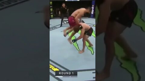 Masvidal vs Askren #shorts #ufc #knockout #somebody #smashmouth