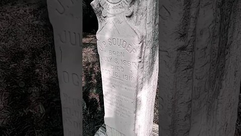 #woodmanofthewod #modernwoodman #taphophile #cemetery #phillps #craigswamp #jacksonvillepioneers