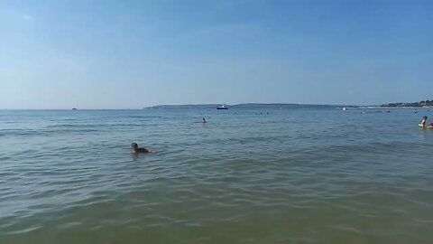 beach shower summer