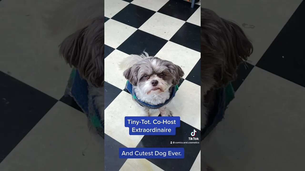 #dogsofyoutube #puppup #cohost