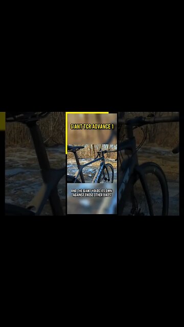 The Fastest Road Bike For the Money? | Giant TCR