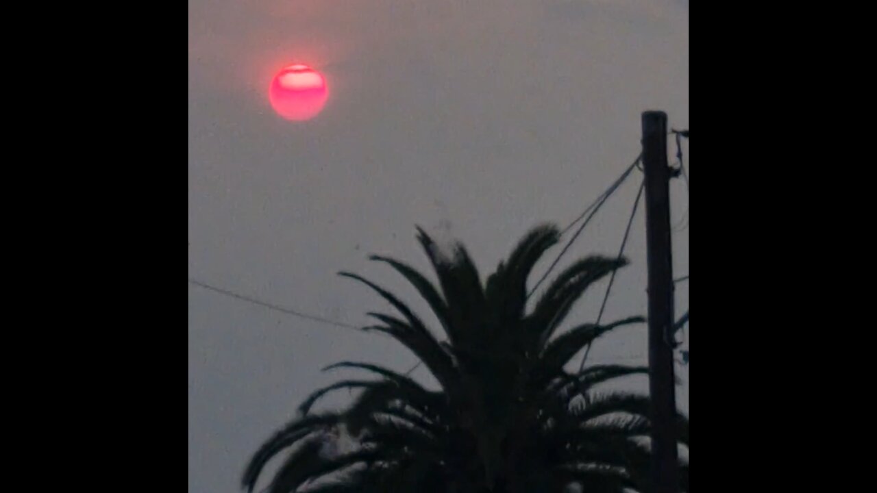 Bizzare Red Silver Purple Orb Sun Taree NSW