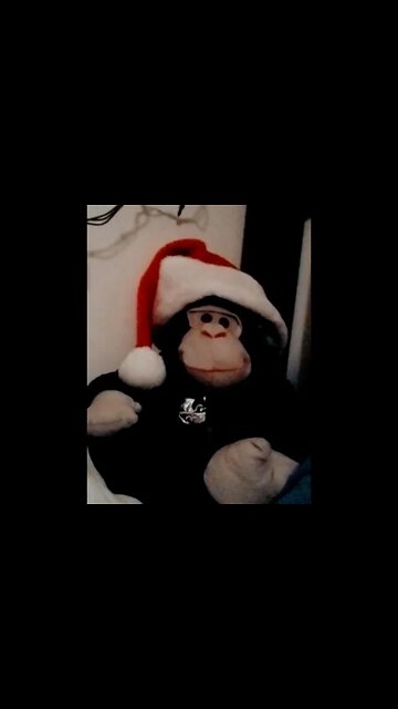 12/15/2021 Eyes open, no fear...