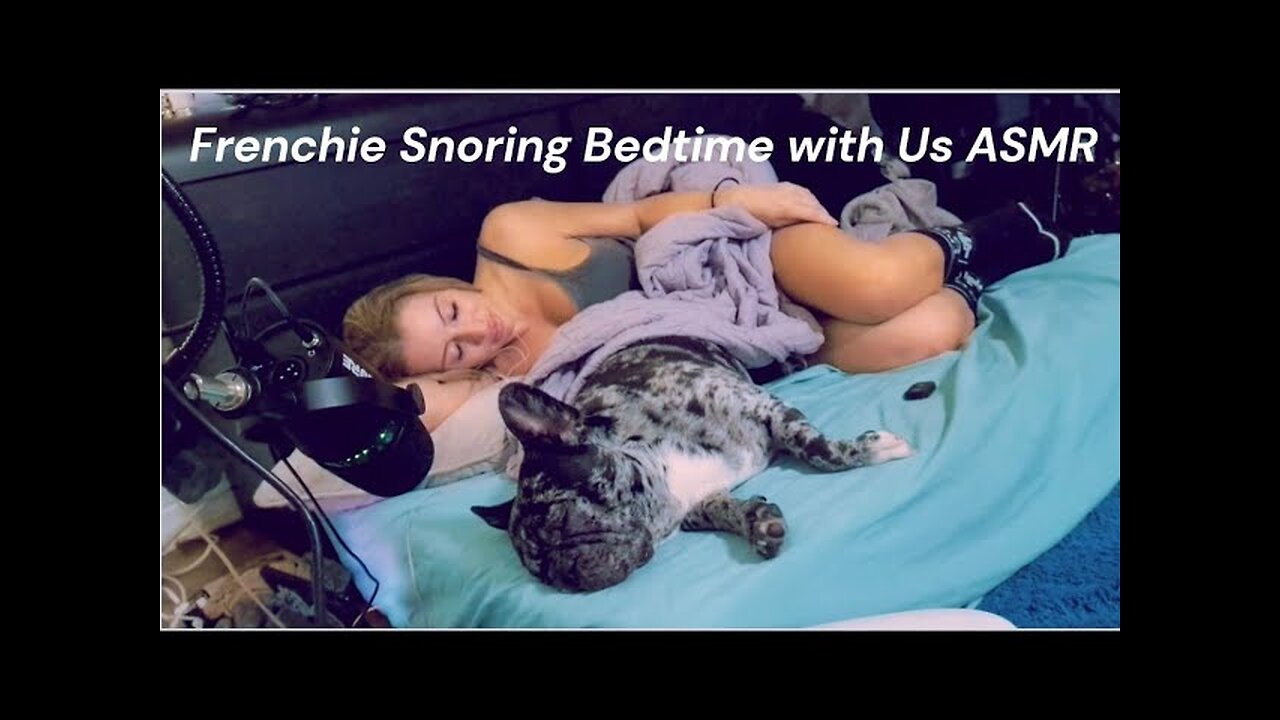 ASMR - Bedtime with Us Frenchie Snoring