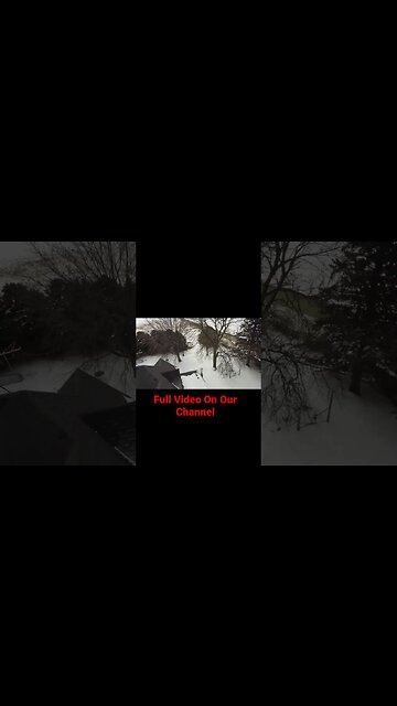 Heating Our House Using Only Wood. #shorts #winter #heatingwithwood