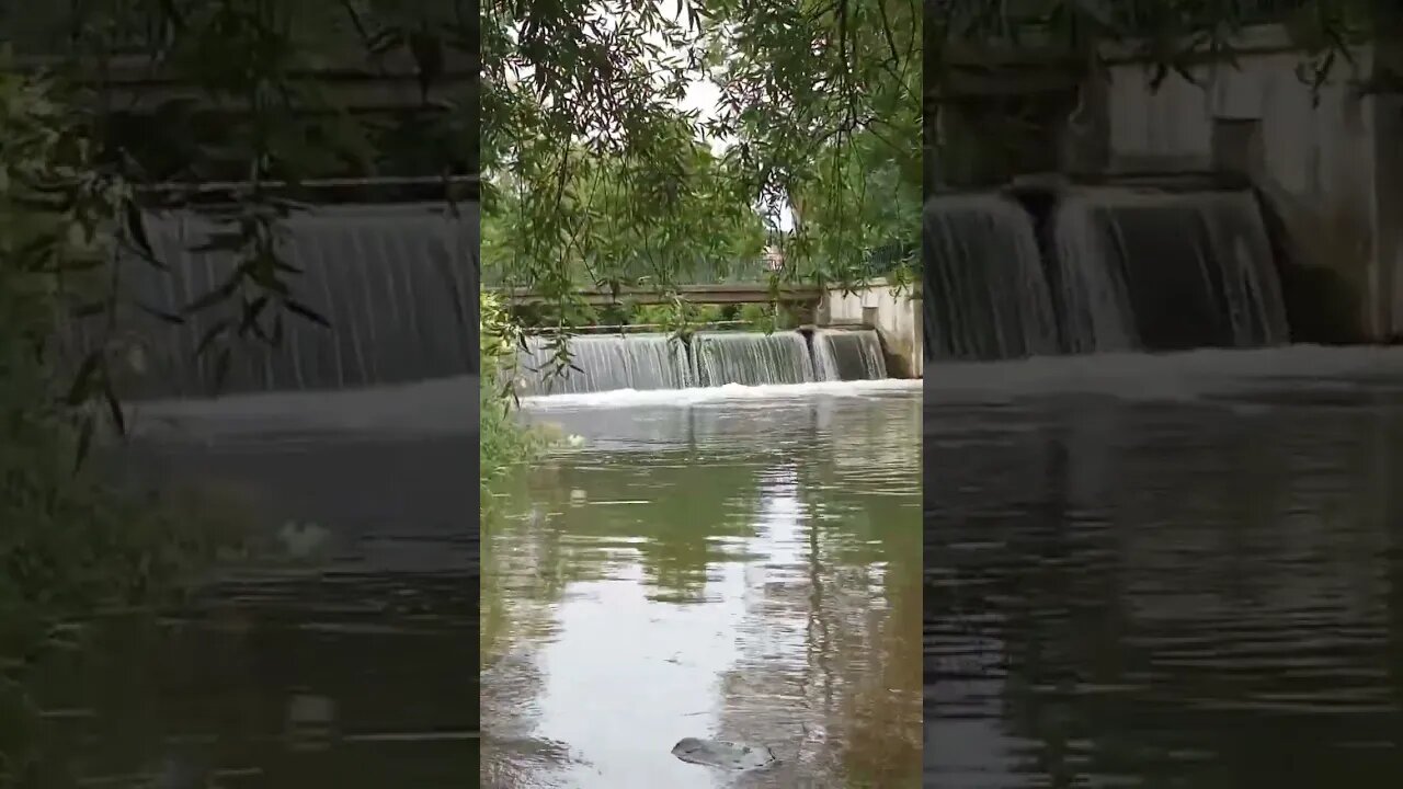 es gibt auch richtig schöne Plätze in Hildesheim #harz #wandern #natur #wasser #shortvideo #shorts