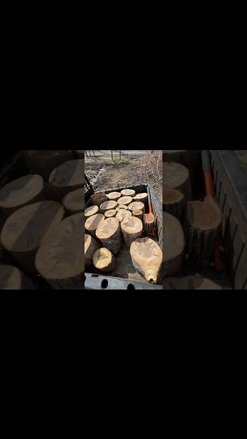 Perfect tool combination 🔨 ⛏️ #shorts #tips #75hard