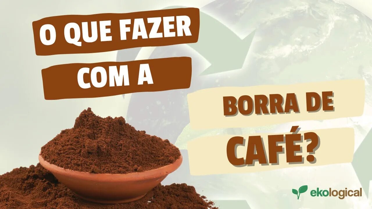 O QUE FAZER COM A BORRA DE CAFÉ? ADUBO PARA SUAS PLANTINHAS 🌱