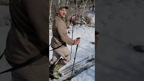 The real work of bear baiting.