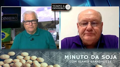 Soja avança com a colheita e perde fôlego no mercado.
