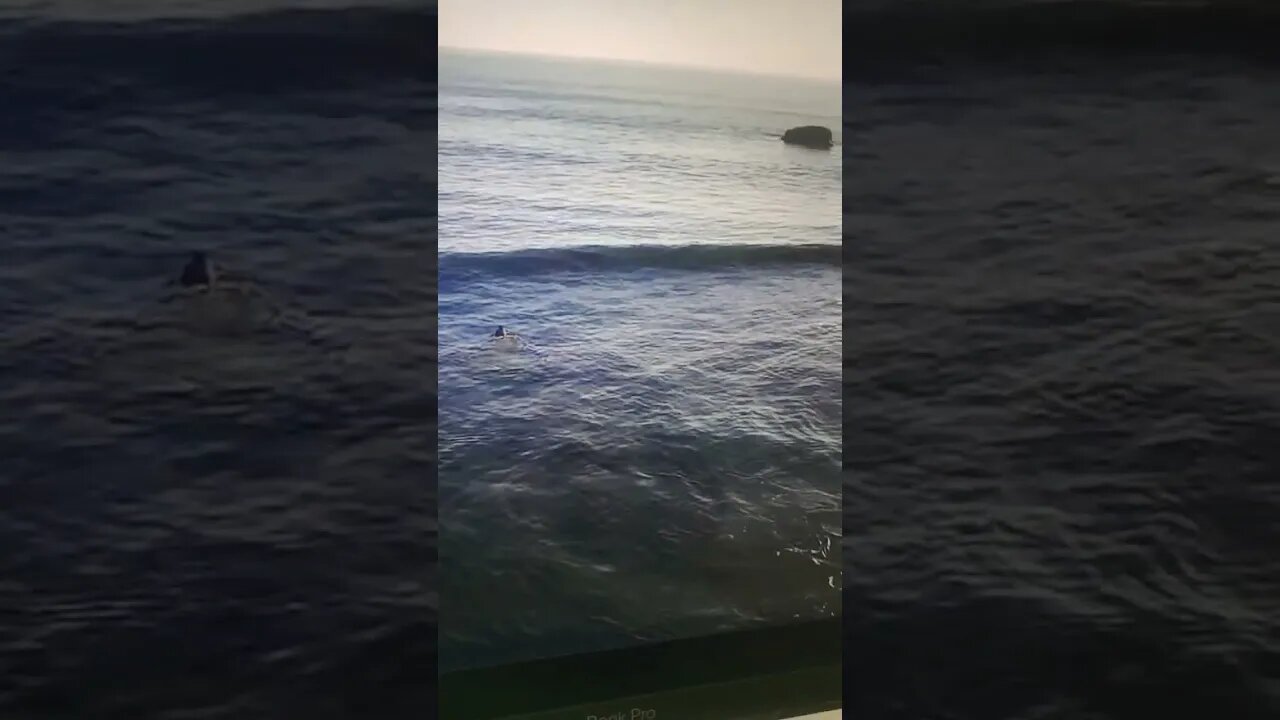 O'Neil Cold Water Classic Finals