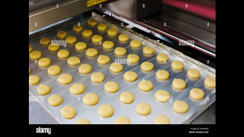 Satisfying Food Manufacturing Process You Have to See - Landsman