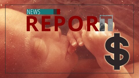 Catholic — News Report — Economics of Abortion