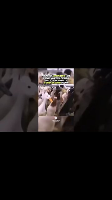 IT'S A REVOLUTION, Keep On Signing up! 😆👉#2a #carryconceal #selfdefense #2amendment