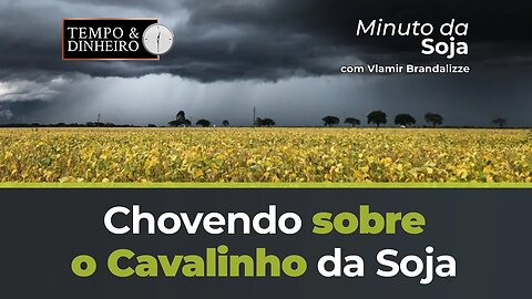 Chovendo sobre o Cavalinho da Soja