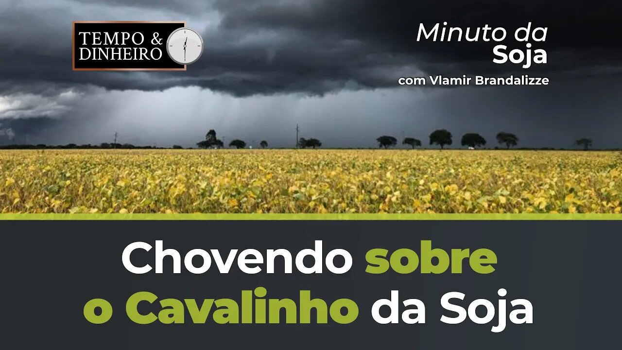 Chovendo sobre o Cavalinho da Soja