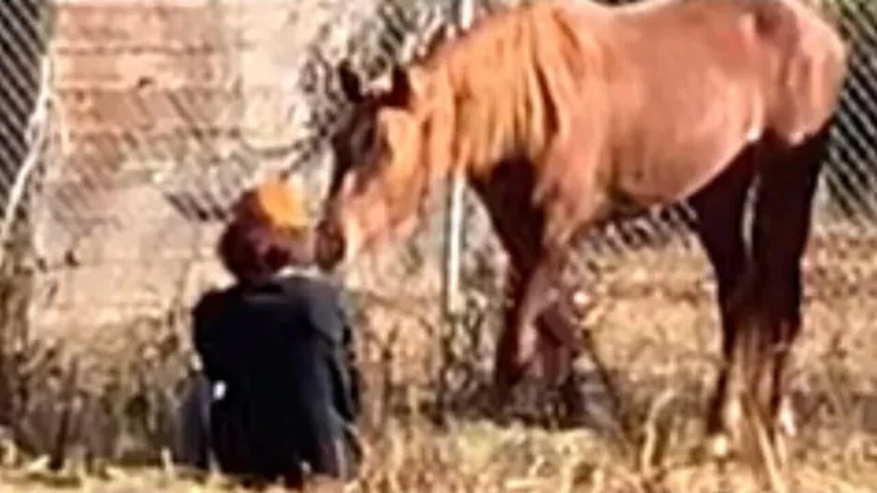 MUSTANG TAMING DAY 3: Nuzzled By A Wild Horse!!!